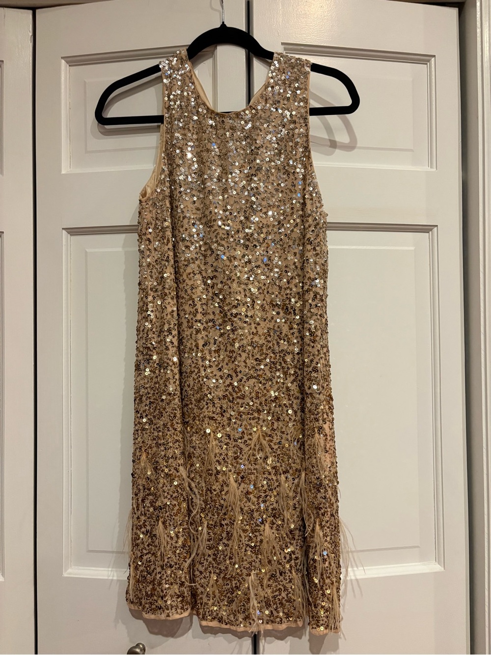 Parker NY Allegra Champagne Sequin Feather Embellished Cocktail Dress S